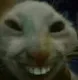 xdx