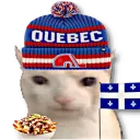 QCbruhcat