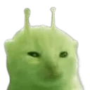 glorp