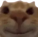 SmileStare