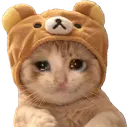 nyancatto