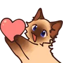 cataHeart