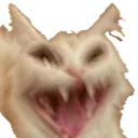 FreakyCat