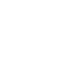 trueslash