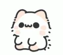 shy