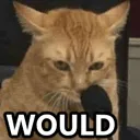 WOULD