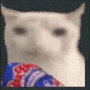 CatChips CatChips