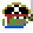 pirateD