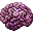 brainBig