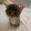 confused