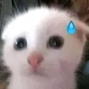 uhoh