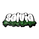 salvia