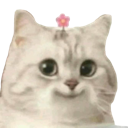 flowercatsmile Discord Emoji | Adultcord 🧿