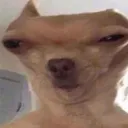 DogAlien