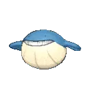 Wailmer2