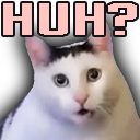 5560huhcat Discord sticker from Развратные отшельники