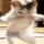 emoji_139
