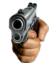 Gun