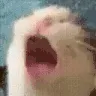 AAAA