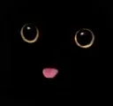 blep
