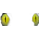 Eyes