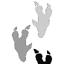 S_C