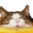 eepball