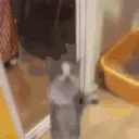 yippee