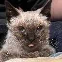 emoji_7 emoji_7