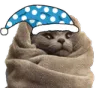 cozycat