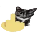 fuckyou