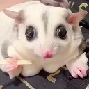 creature