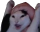 wahoo