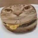 Cheeseburgur