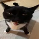 HappyCart