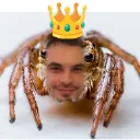 SpideyRyan