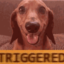 trigger