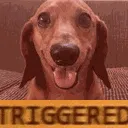 triggered triggered