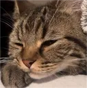eepy eepy