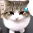 uhm