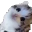 ermm2