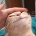 v_