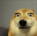perropapump3