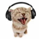 musica