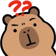capywhat