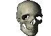 SkullSpin SkullSpin