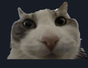 really Discord emoji