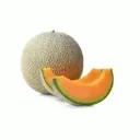 cantaloupe