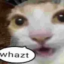 whazt whazt