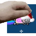 Haku_pet